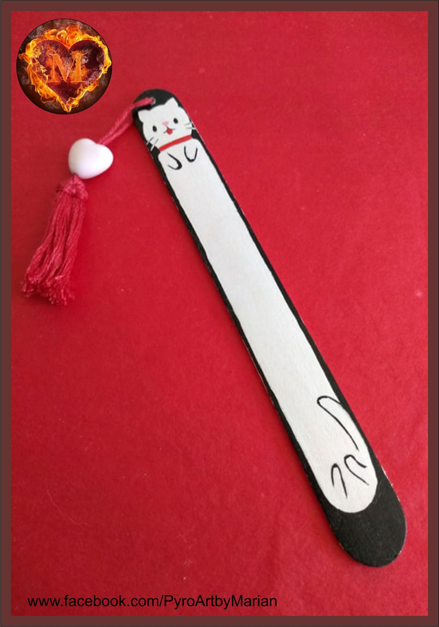 White Cat  🐱 🤍