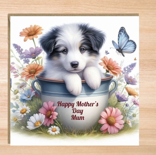 Personalised Border Collie Puppy Mother’s Day Card
