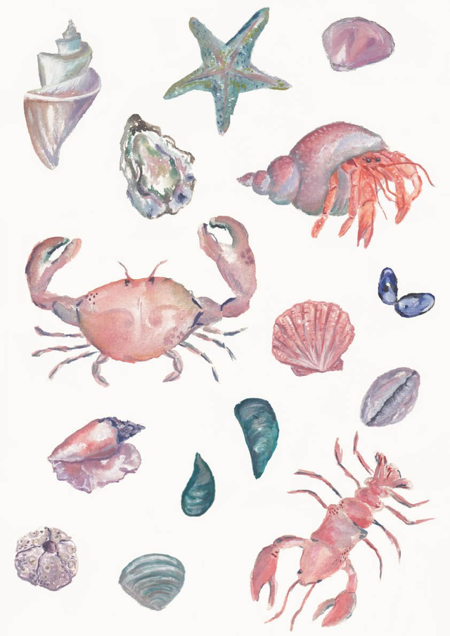 A3 Sea Life print
