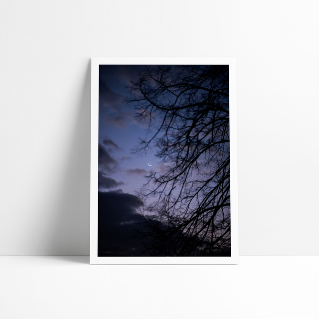 Croissant - Tirage d'art