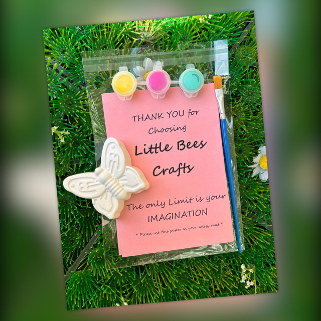 Bugs Theme Party Bags - Birthday Party Bags - Painting Kit - Party Bag Filler - Kids Activity - Birthday Activity 