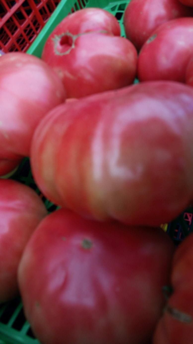 Tomate Abuela De Osedo