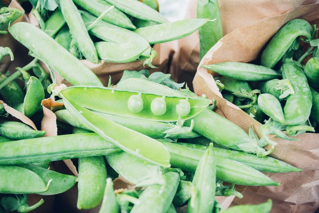 Broad Beans