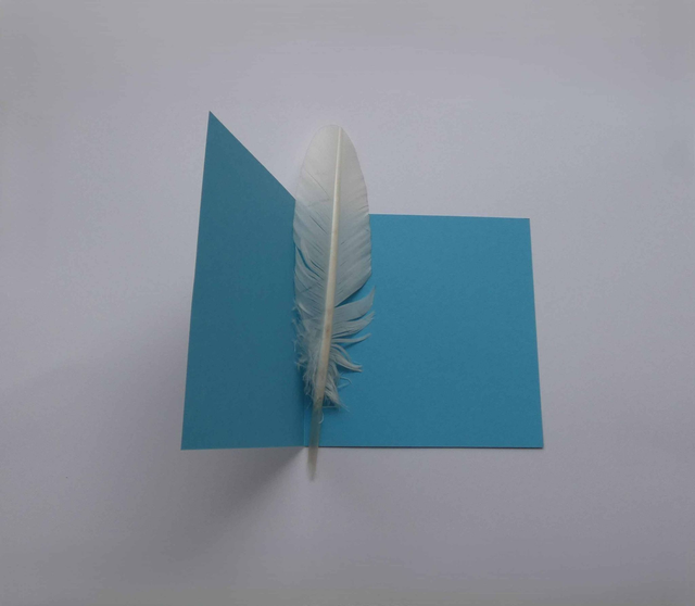 Bonne année avec les grenouilles