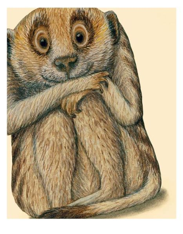 Oggi come stai? Ediz. a colori - di Kathrin Schärer