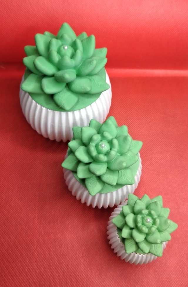 Lot de 3 boîtes cactus, 7,5 cm, 6 cm et 5 cm