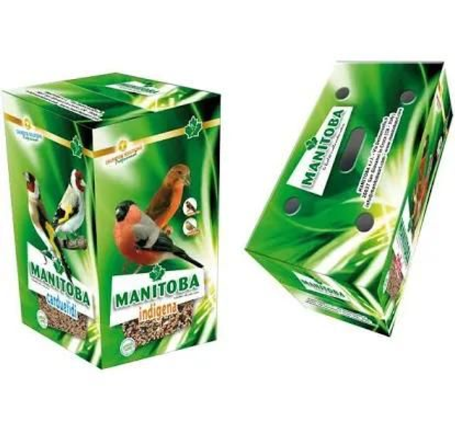 Trasportino in cartoncino manitoba 1 pz