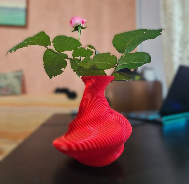 Moder Vase