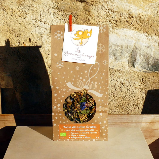 Danse des Lutins Éveillés TONUS DU MATIN