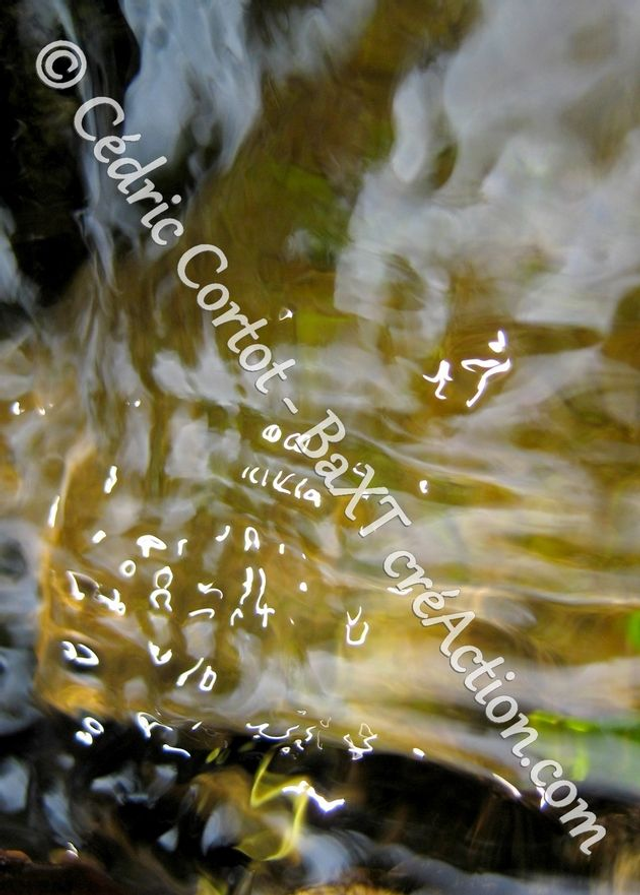 Carte postale - Reflets et cours d'Eau (Ref IMG_4300)