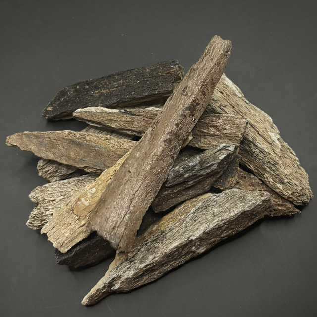 Mammoth Bone Fragment 