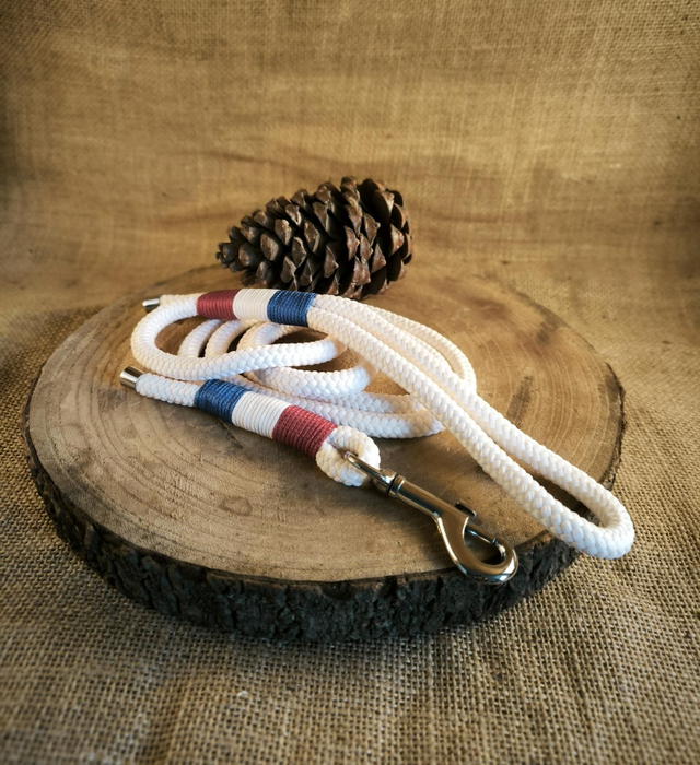 🇫🇷 Collier & laisse "Esprit Français"