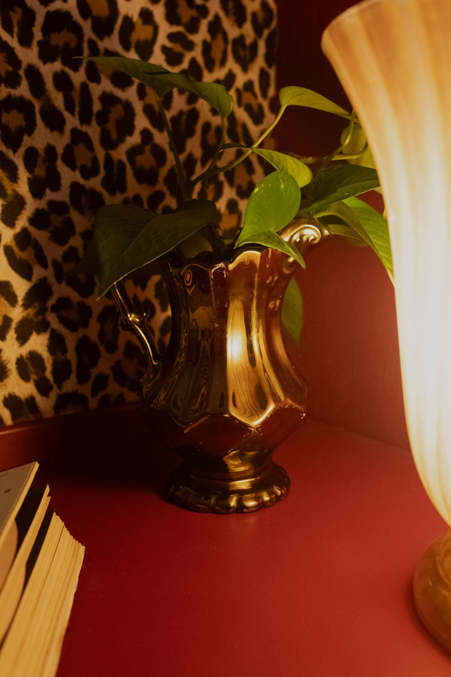 Baroque Roots 🖤 Pichet Holographique + Boutures