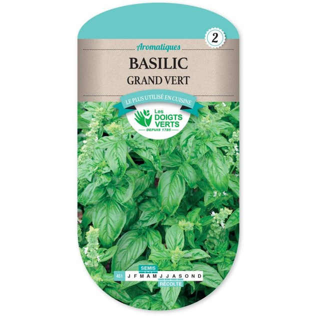 Basilic Grand Vert