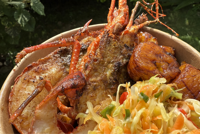 Langouste Brésilienne 🦞