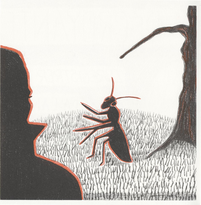 enregistrer sous LA LANGUE • Paille