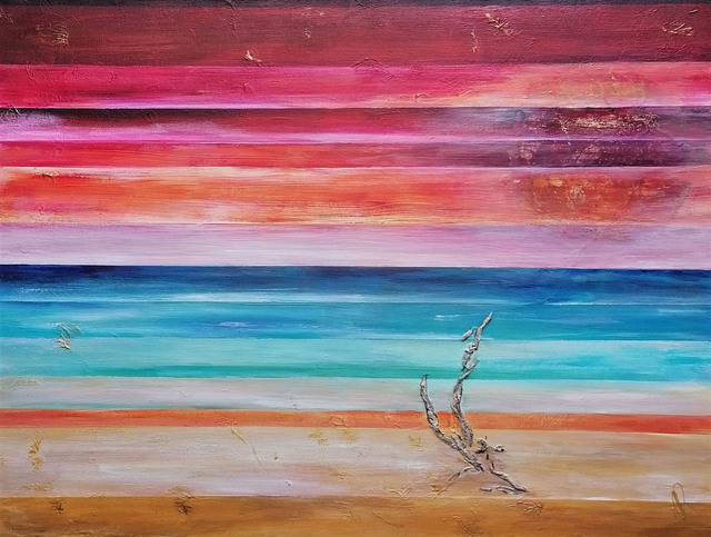 Bois flotté / Driftwood