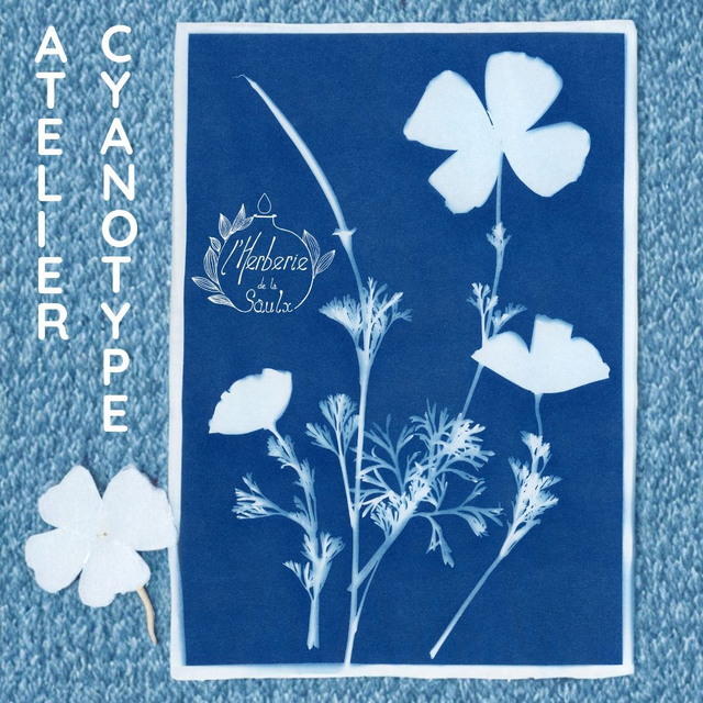05/14 : Atelier cyanotype - Jeudi 14 Mai