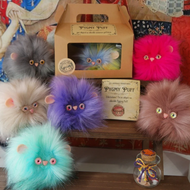 Pygmy Puff - Boursoufflet