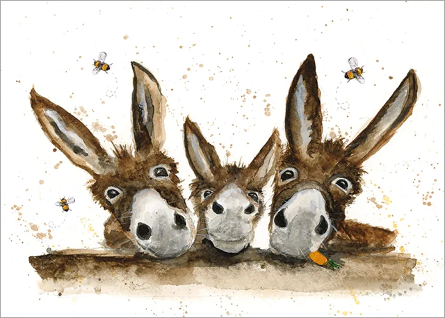 The Three Amigos B034