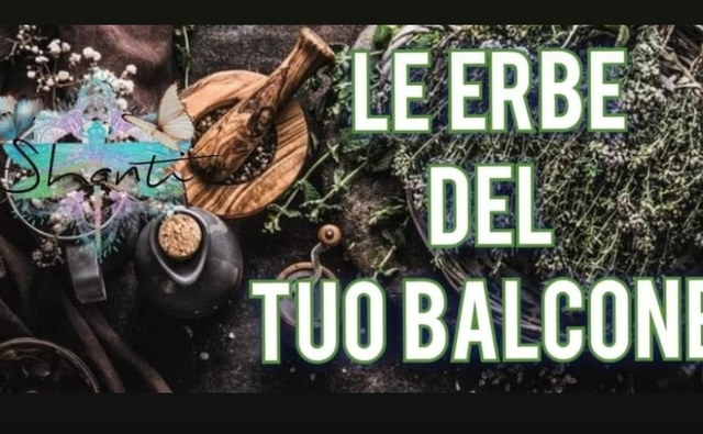 Mini corso Le Erbe del tuo balcone 