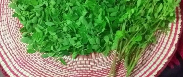 30g de feuilles séchées de brède mouroum ( moringa ) + une recette de cuisine