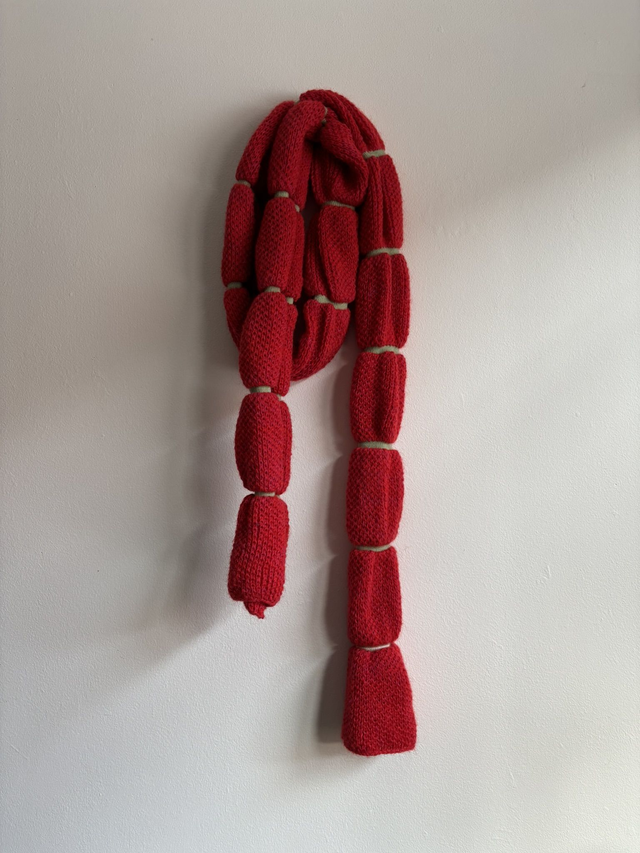 salami scarf rouge