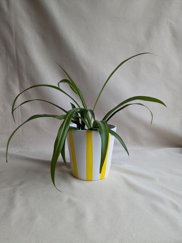 Cache-pot Léo - rayures jaunes