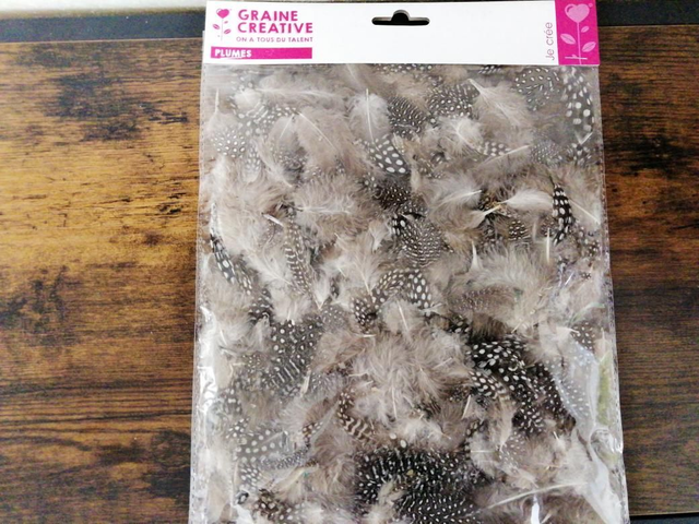 Plumes naturelles pintade 10g 