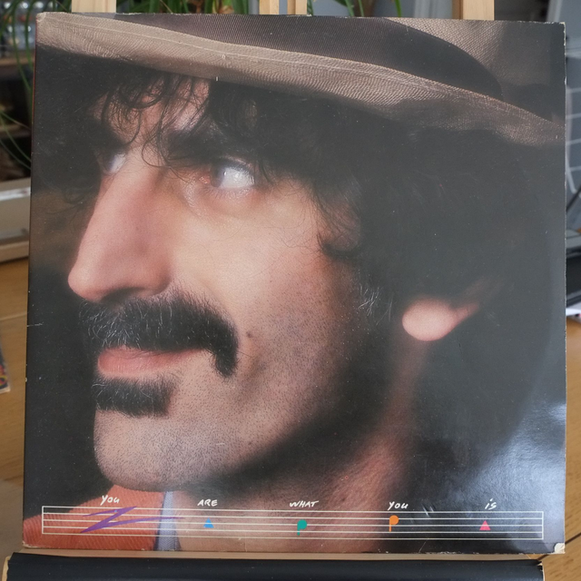 FRANK ZAPPA - You are what you is