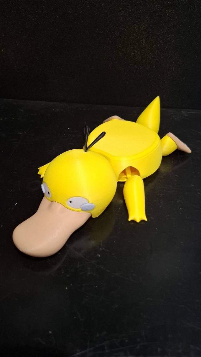 Sous verre psykokwak