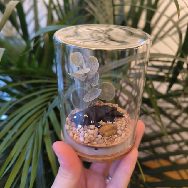 Ami protecteur - Chat couché noir (oeil de tigre)