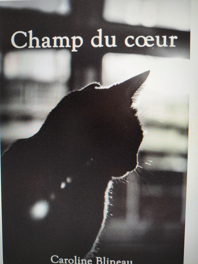 Champ du coeur 