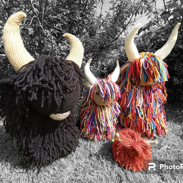 XL Shaggy Highland Cow 