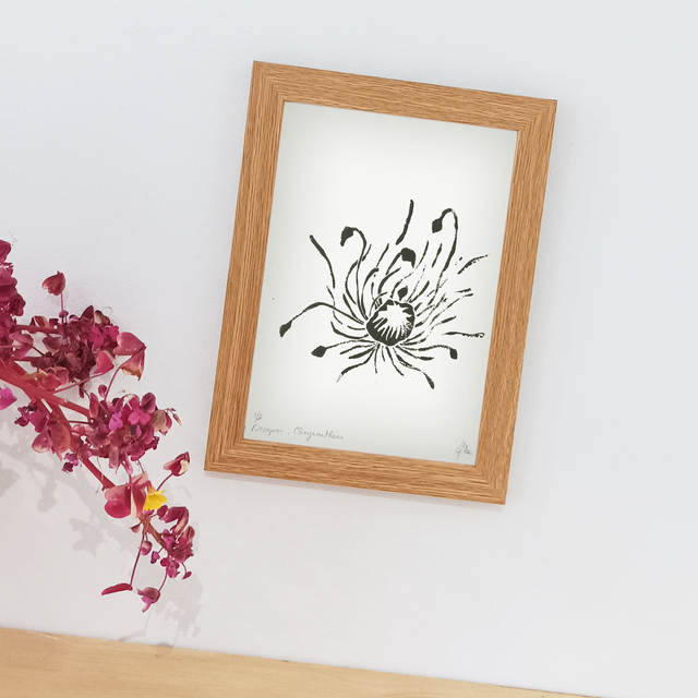 Chrysanthème. Scorpion