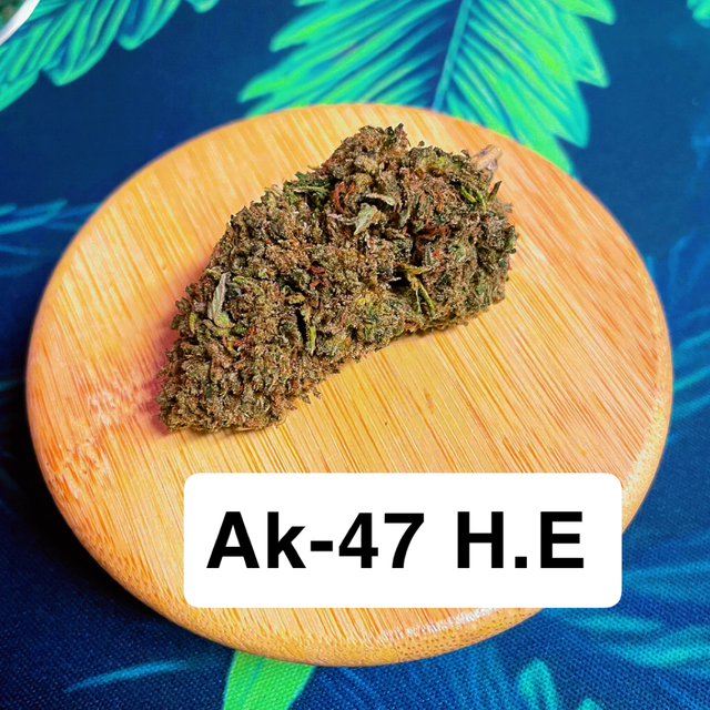 Ak-47 H