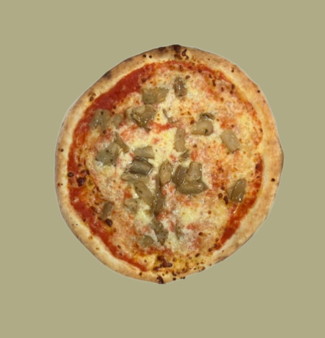 Art.018 funghi porcini 