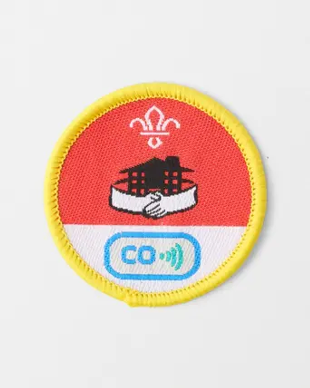 Cubs Activity Badge - Home Safety