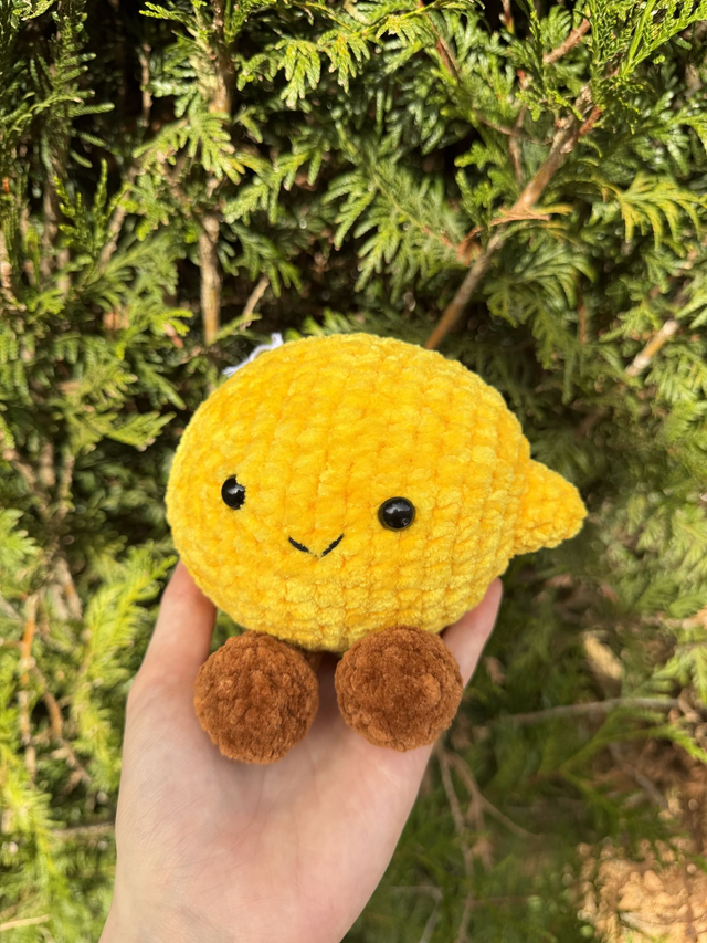 Citron 🍋 