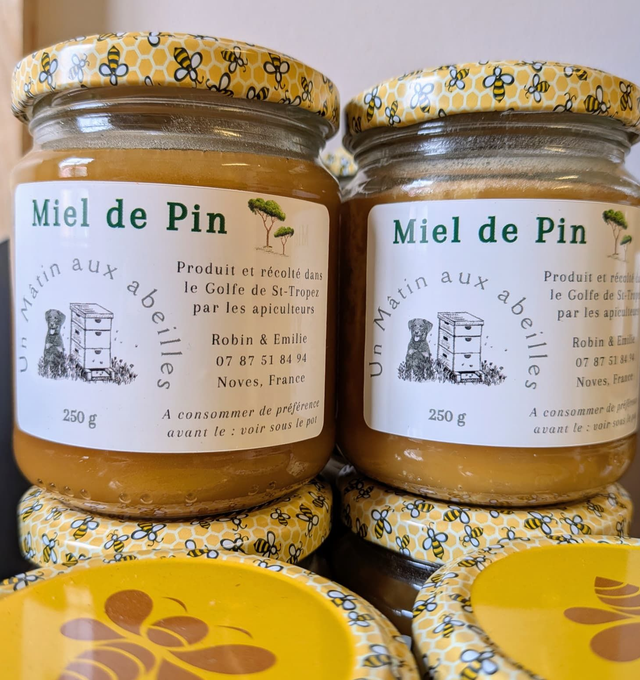 Miel de Pin - 250g / 500g