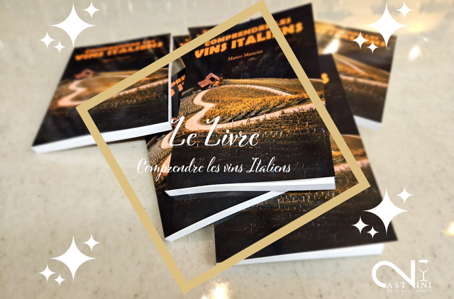 Comprendre les vins Italiens (Livre de poche) - Marco MANCINI