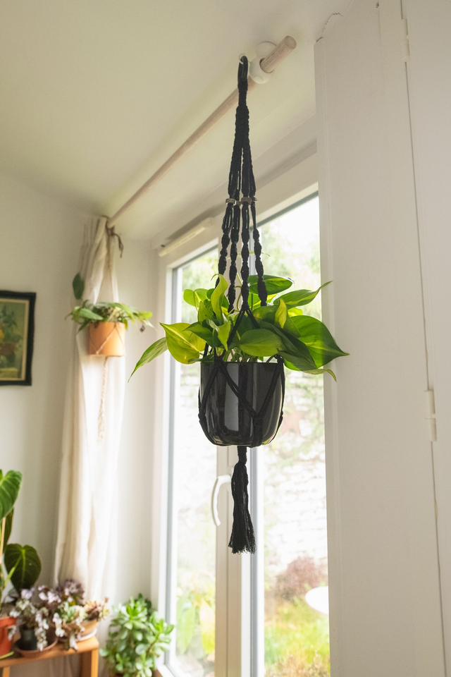 Dark Hanging Garden - Xmas Kit 🎀