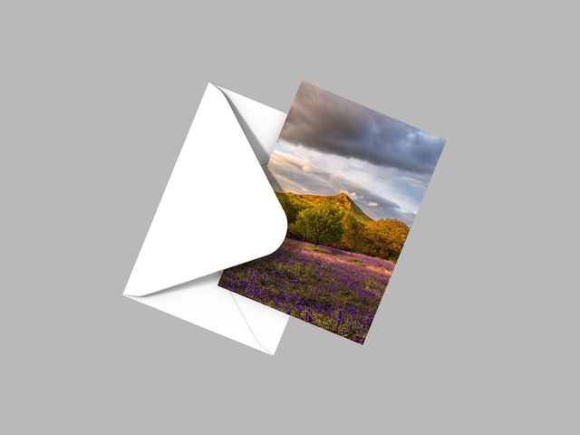 Bluebell Carpet, Roseberry Topping