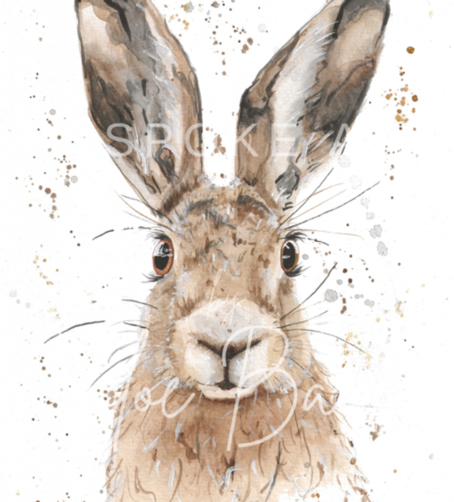 ‘Harrison’ Print