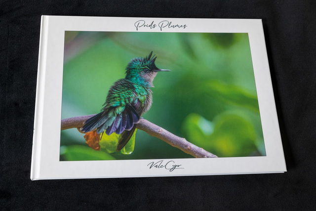 Livre " Poids Plumes"