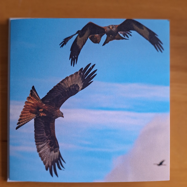 Flower and nature greeting card (with envelope) - red kites.