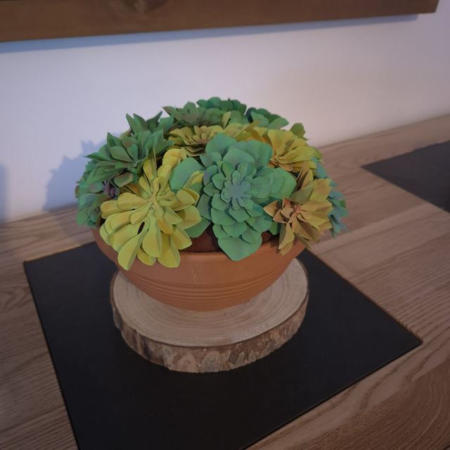 Composition de Succulentes en Papier
