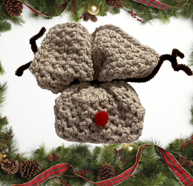 Christmas Reindeer Wash cloth and soap (Dove)