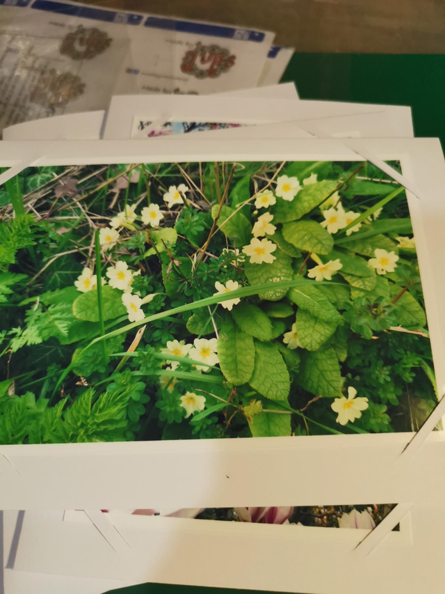 Spring flowers photo cards