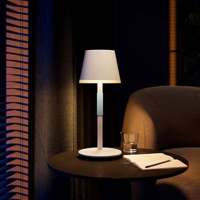 Philips Hue White &amp; Col. Amb. Go Lampe de table portable 370 lm